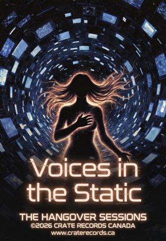 Voices in the Static cover